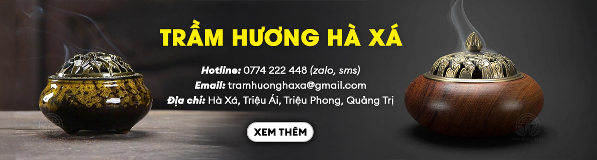 banner-chinh-0