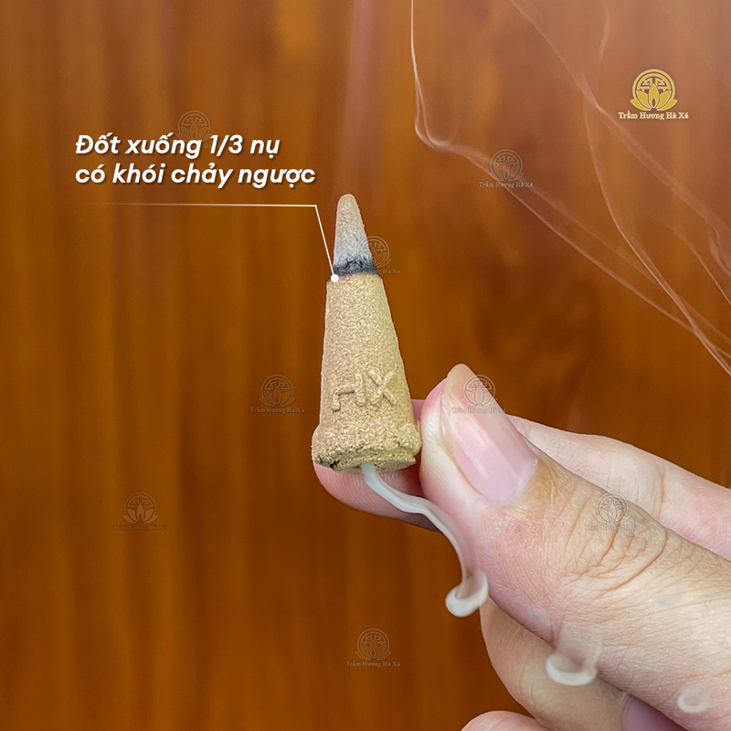 zw_-_nu_cao_cap_2