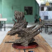 Trầm Hương Tự Nhiên Được Sinh Ra Từ Gỗ Của Loài Cây Nào? Khám Phá Ngay!