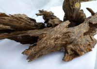 Nhang trầm hương Cô Thôn Nữ | Hương thơm tự nhiên và quyến rũ