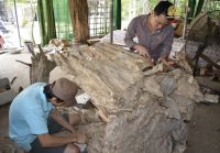 Nhang trầm hương Bảo Trầm | Sự kết hợp hoàn hảo giữa truyền thống và hiện đại